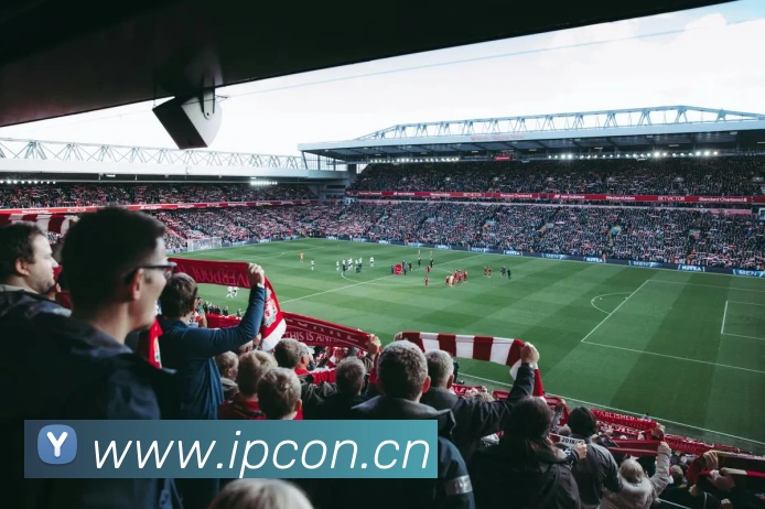 多媒体互动体验